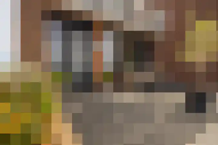 Schoonhovenseveer 13 Groot-Ammers thumbnail 12