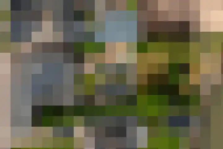 Schoonhovenseveer 13 Groot-Ammers thumbnail 13