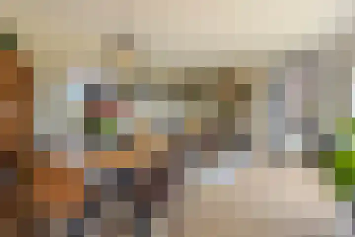 Schoonhovenseveer 13 Groot-Ammers thumbnail 24