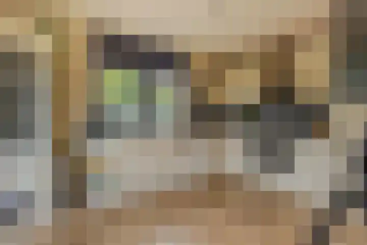 Schoonhovenseveer 13 Groot-Ammers thumbnail 27