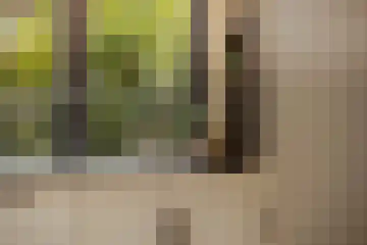 Schoonhovenseveer 13 Groot-Ammers thumbnail 28