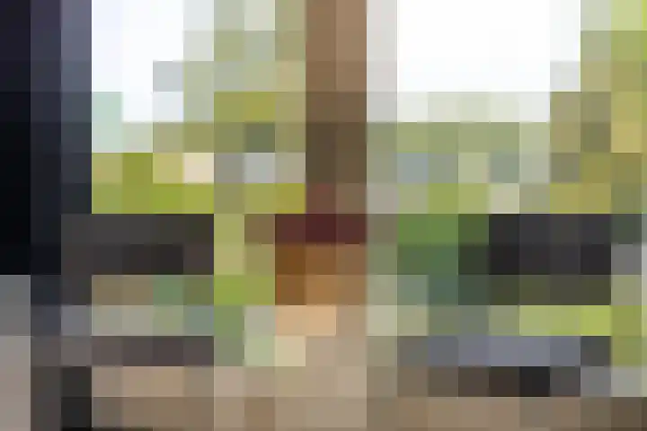 Schoonhovenseveer 13 Groot-Ammers thumbnail 29