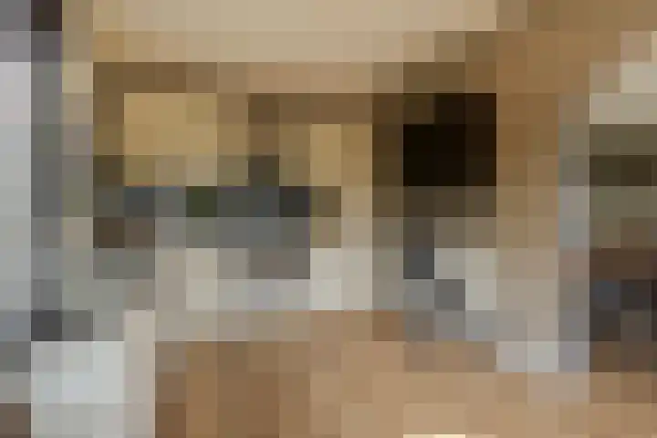 Schoonhovenseveer 13 Groot-Ammers thumbnail 30