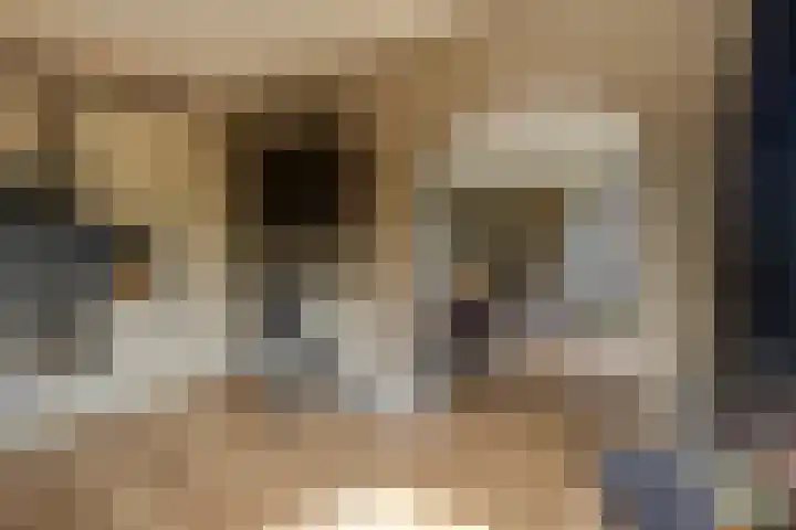 Schoonhovenseveer 13 Groot-Ammers thumbnail 31