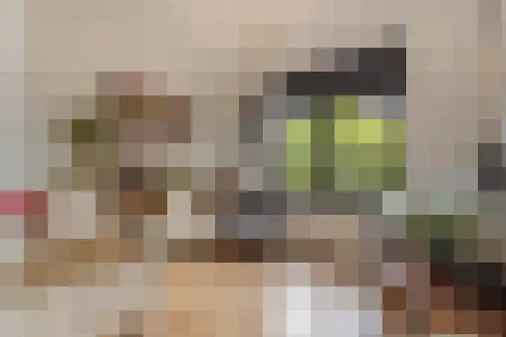 Schoonhovenseveer 13 Groot-Ammers thumbnail 32