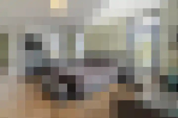 Schoonhovenseveer 13 Groot-Ammers thumbnail 38