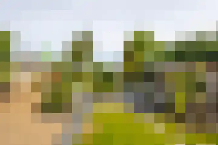 Schoonhovenseveer 13 Groot-Ammers thumbnail 4