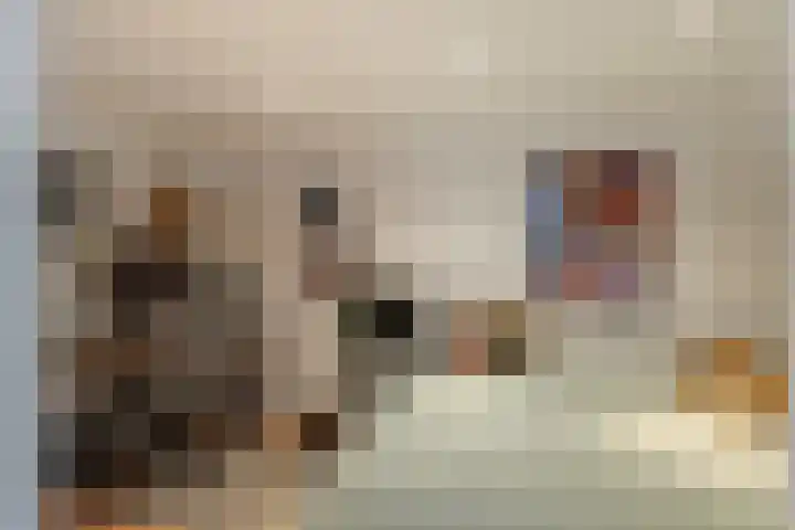 Schoonhovenseveer 13 Groot-Ammers thumbnail 43