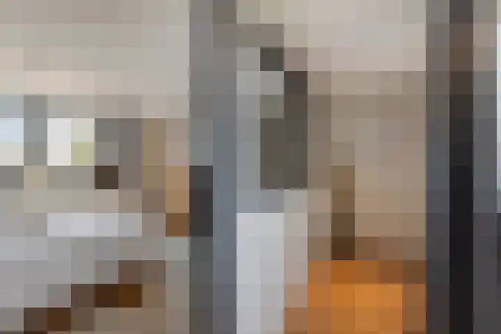 Schoonhovenseveer 13 Groot-Ammers thumbnail 46