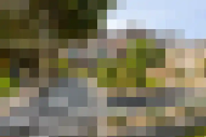 Schoonhovenseveer 13 Groot-Ammers thumbnail 5