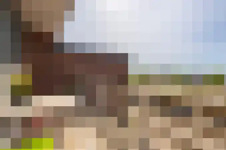 Schoonhovenseveer 13 Groot-Ammers thumbnail 55