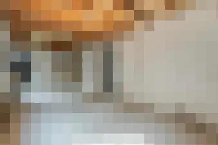 Schoonhovenseveer 13 Groot-Ammers thumbnail 60