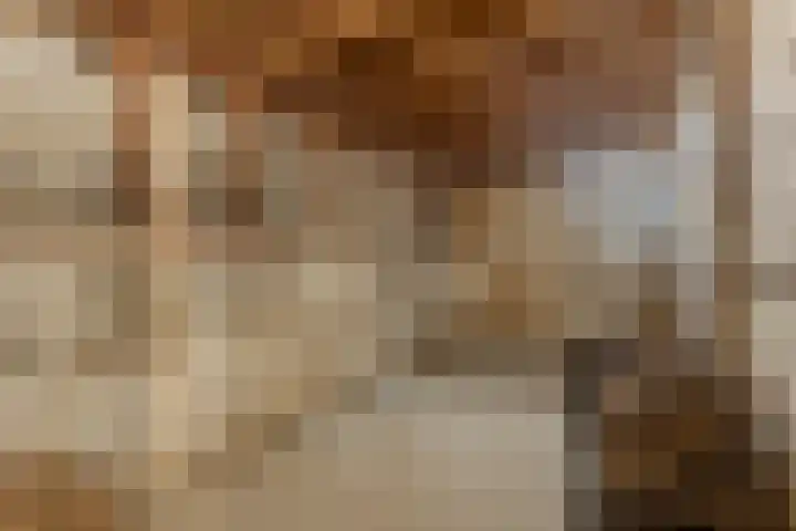 Schoonhovenseveer 13 Groot-Ammers thumbnail 62