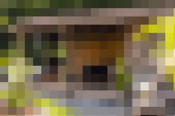 Schoonhovenseveer 13 Groot-Ammers thumbnail 64