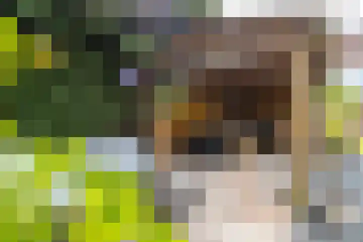 Schoonhovenseveer 13 Groot-Ammers thumbnail 65