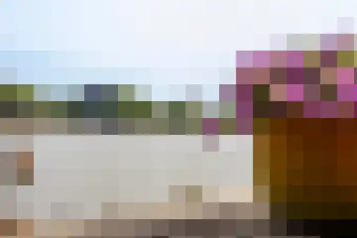 Schoonhovenseveer 13 Groot-Ammers thumbnail 66