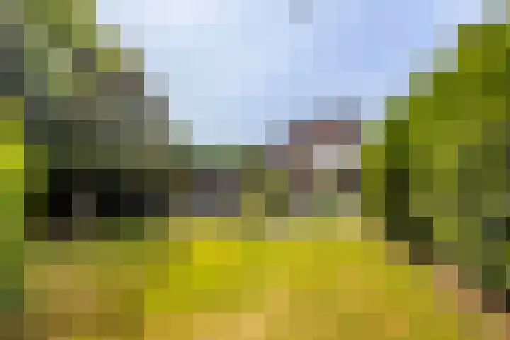 Schoonhovenseveer 13 Groot-Ammers thumbnail 7