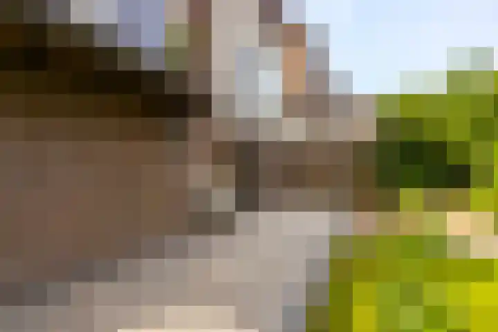 Schoonhovenseveer 13 Groot-Ammers thumbnail 70