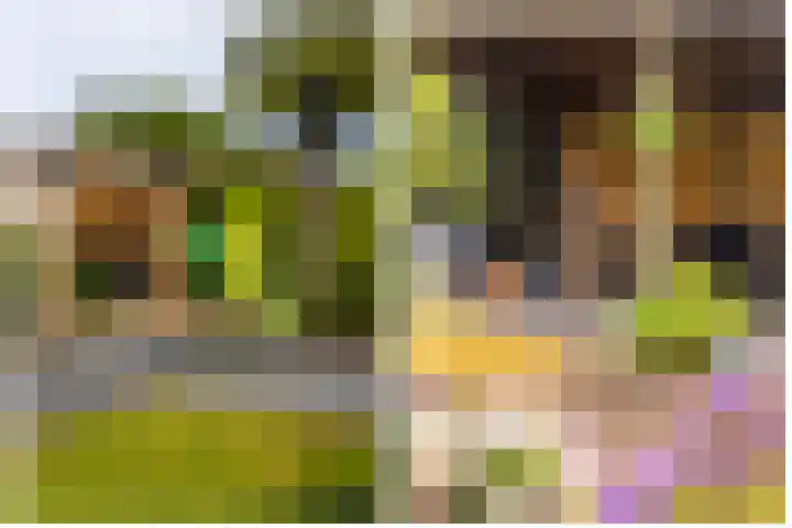 Schoonhovenseveer 13 Groot-Ammers thumbnail 71