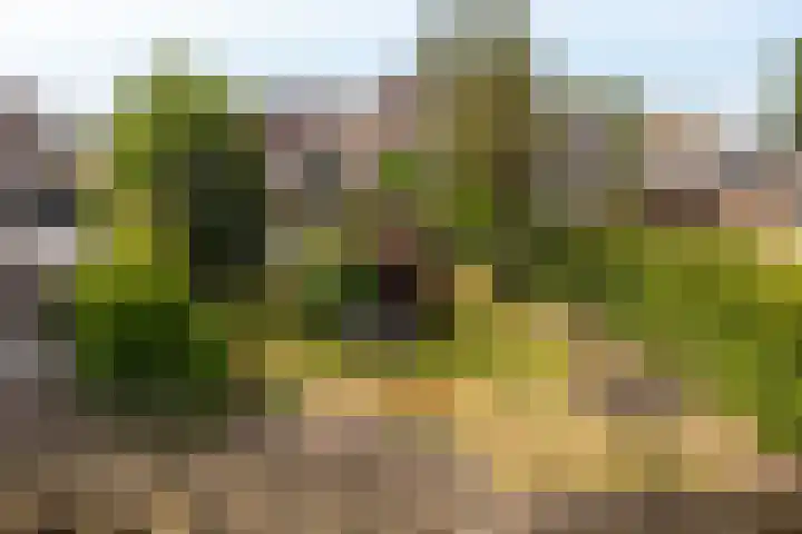 Schoonhovenseveer 13 Groot-Ammers thumbnail 72