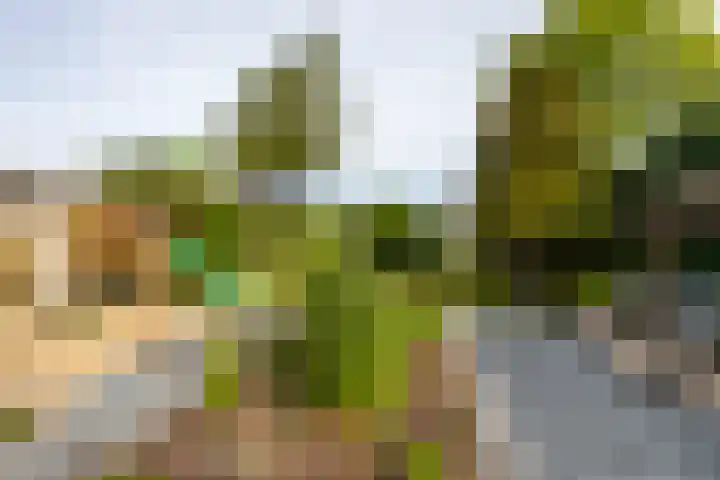 Schoonhovenseveer 13 Groot-Ammers thumbnail 73