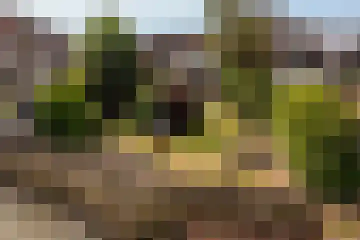 Schoonhovenseveer 13 Groot-Ammers thumbnail 75