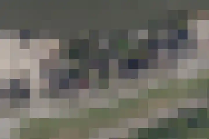 Schoonhovenseveer 13 Groot-Ammers thumbnail 77