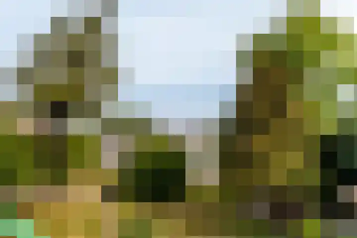 Schoonhovenseveer 13 Groot-Ammers thumbnail 8