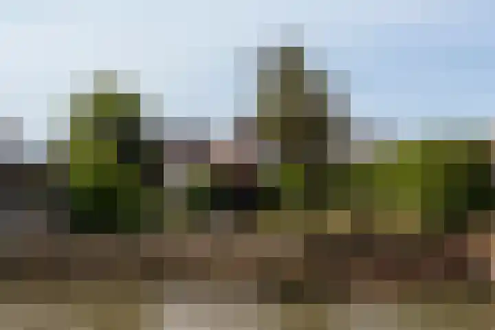 Schoonhovenseveer 13 Groot-Ammers thumbnail 9