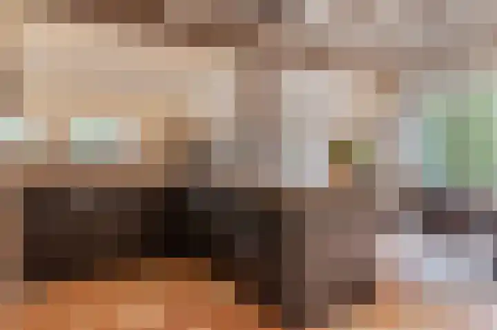 Schoonloërstraat 5 Grolloo thumbnail 17