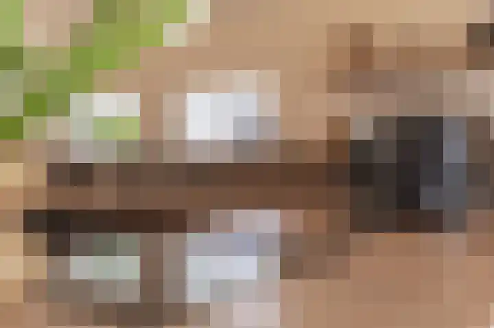 Schoonloërstraat 5 Grolloo thumbnail 19