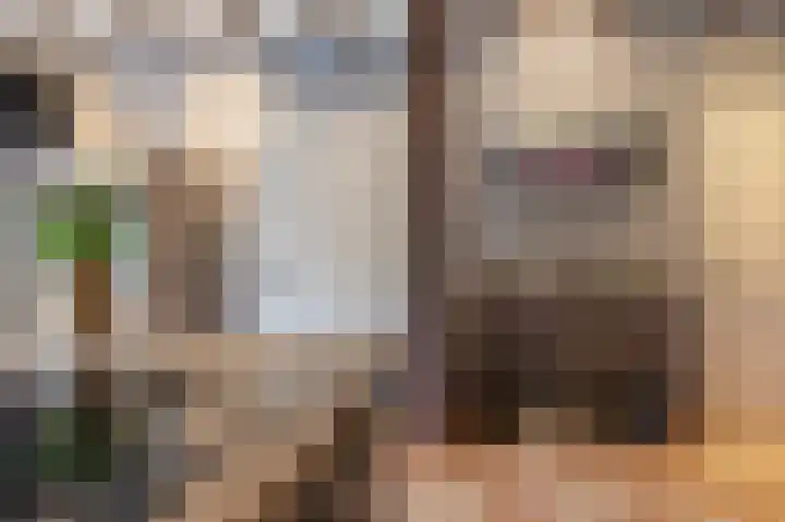 Schoonloërstraat 5 Grolloo thumbnail 21