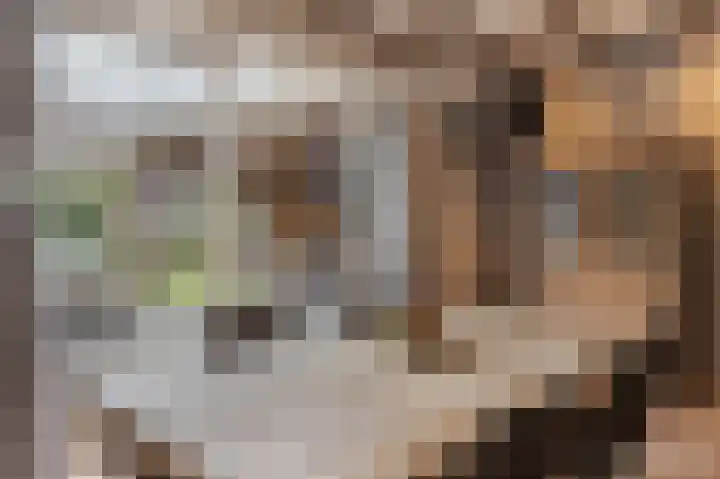 Schoonloërstraat 5 Grolloo thumbnail 22
