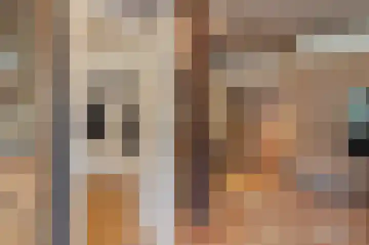 Schoonloërstraat 5 Grolloo thumbnail 24