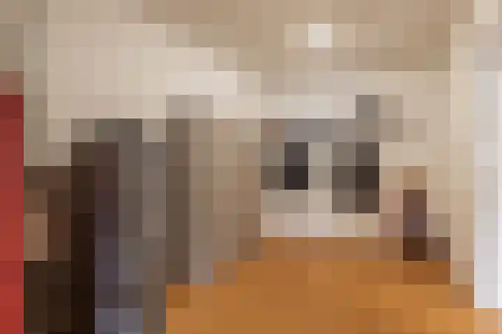 Schoonloërstraat 5 Grolloo thumbnail 27