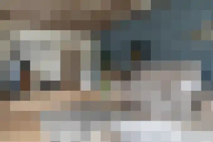 Schoonloërstraat 5 Grolloo thumbnail 31