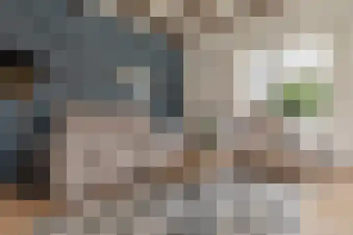 Schoonloërstraat 5 Grolloo thumbnail 32