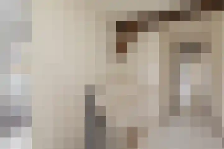 Schoonloërstraat 5 Grolloo thumbnail 38