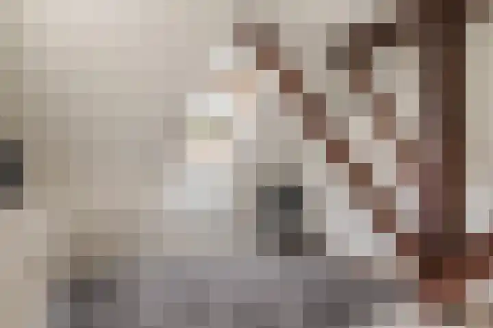 Schoonloërstraat 5 Grolloo thumbnail 39