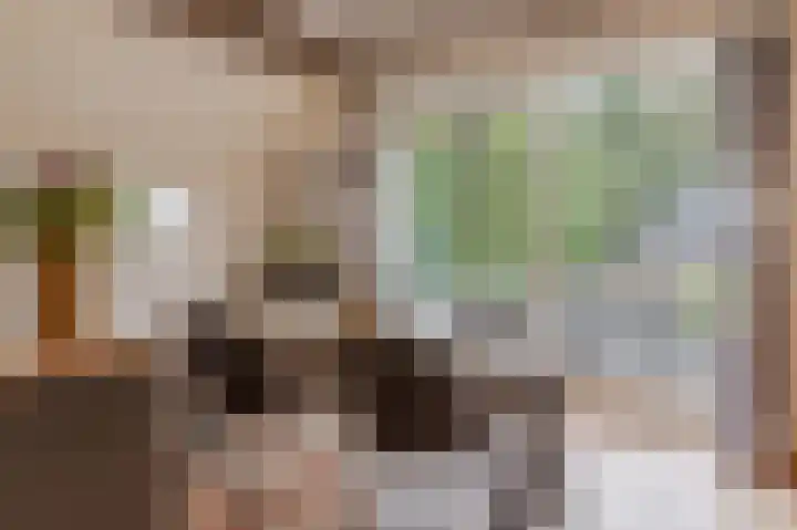 Schoonloërstraat 5 Grolloo thumbnail 4