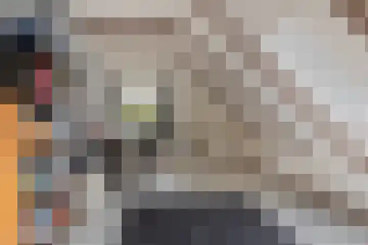 Schoonloërstraat 5 Grolloo thumbnail 41