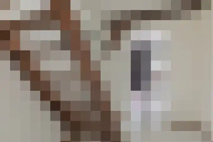 Schoonloërstraat 5 Grolloo thumbnail 44