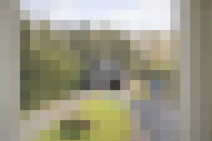 Schoonloërstraat 5 Grolloo thumbnail 47