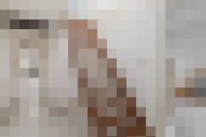 Schoonloërstraat 5 Grolloo thumbnail 50
