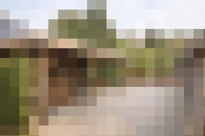 Schoonloërstraat 5 Grolloo thumbnail 53