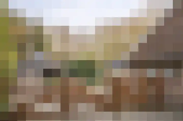 Schoonloërstraat 5 Grolloo thumbnail 54