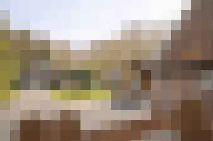 Schoonloërstraat 5 Grolloo thumbnail 55