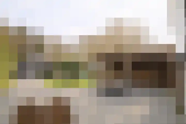 Schoonloërstraat 5 Grolloo thumbnail 56