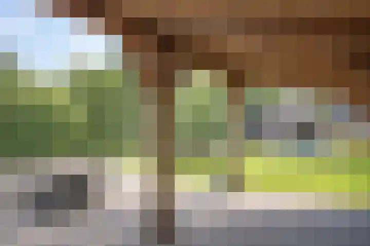 Schoonloërstraat 5 Grolloo thumbnail 58
