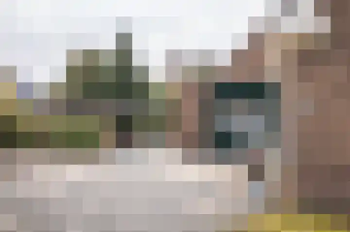 Schoonloërstraat 5 Grolloo thumbnail 6